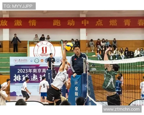 南京排球队的转型之路:从传统强队到现代竞技新标杆的奥运追梦之旅